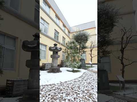 巣鴨キャンパスに雪が降りました #雪 #大正大学 #shorts