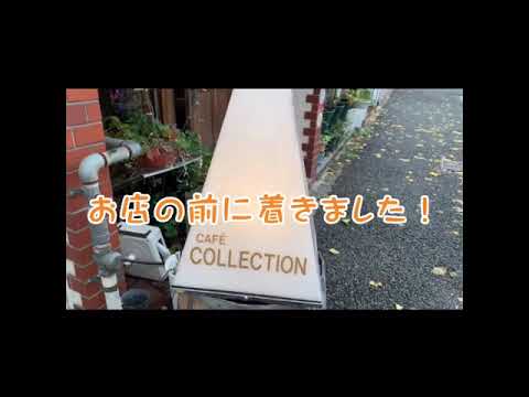 【Webサギタリウス】カフェコレクションを紹介