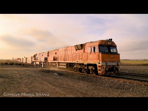 Pacific National 1PM5 Intermodal Freight Train At Sunset (8/11/2023) - PoathTV Australian Railways