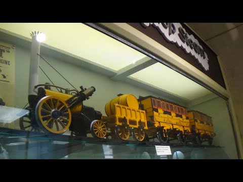 Foxy exploring the Brighton Toy and Model Museum, 25th January 2022