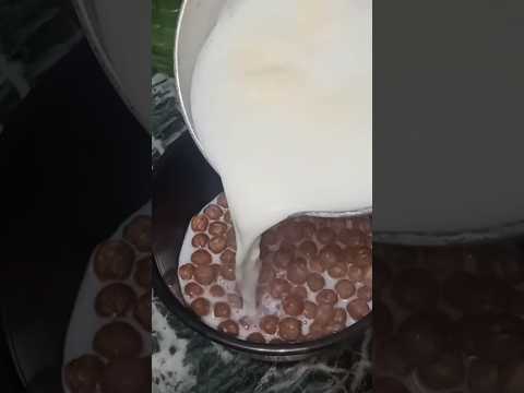 kellogy's chocos | chhota laddoo#shorts_video