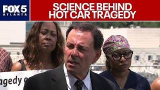 Download lagu Neuroscientist defends mother charged in hot car death | FOX 5 News mp3 Download lagu Neuroscientist defends mother charged in hot car death | FOX 5 News mp3