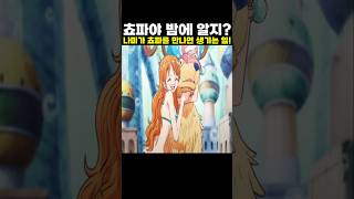👉나미가 쵸파를 만나면 생기는 일! (원피스 리메이크 최신화)
