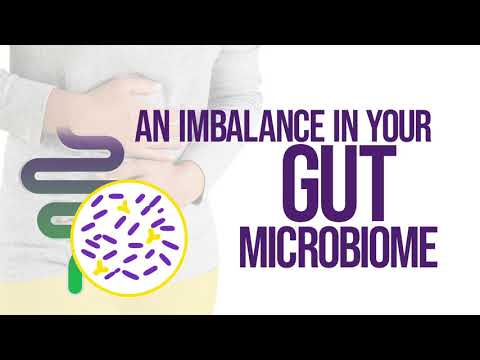 Culturelle(R) IBS Complete Support: How it Works 2021