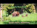 Yellowstone National Park | Day 3 | Hayden Valley & The Grand Canyon of Yellowstone