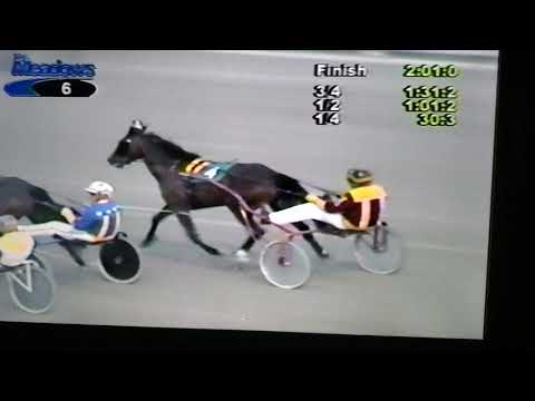 Shady Hickory - The Meadows - May 2003