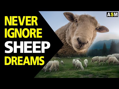 What does Sheep dream meaning | Dreaming of Sheep | Sheep dream interpretation