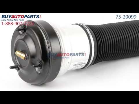 Strut Assembly from BuyAutoParts.com - Part# 75-20099