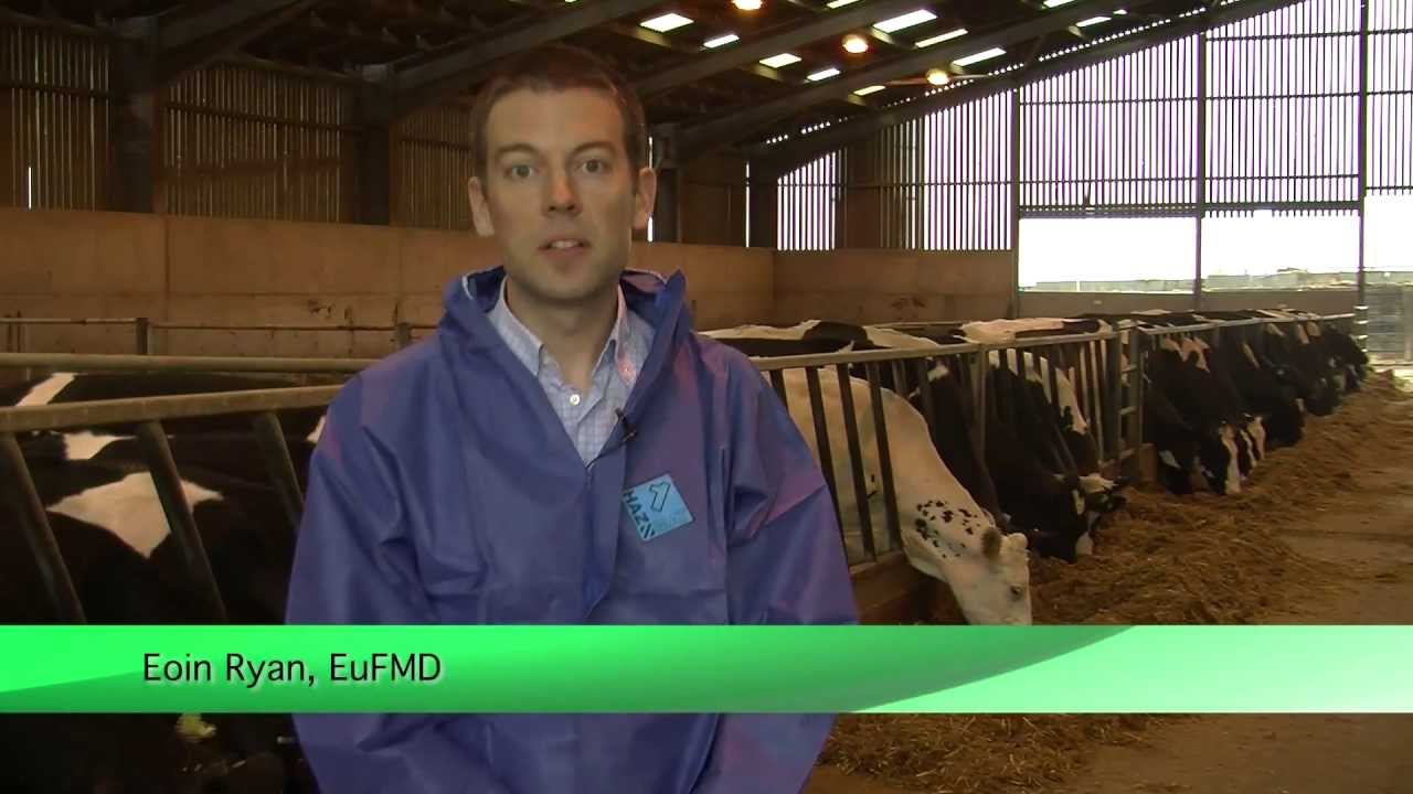 An Introduction to EuFMD Real Time Training