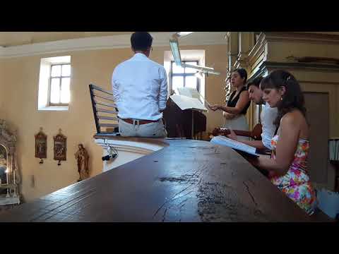 Tu sem s tabo (Hallelujah) - vokalna skupina Ad Infinitum - Petje na poroki