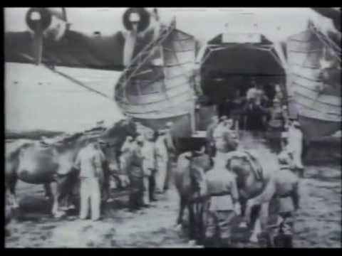 Daniel Landa - Waltr, Tommy, Ute & Mary