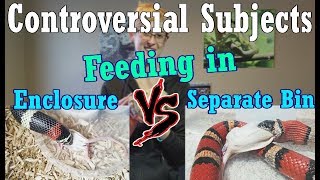 Con-Sub: Feeding in the Enclosure vs Separate Bins by Snake Discovery