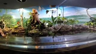 Our Aquarium Adventure Our Aquarium Adventure