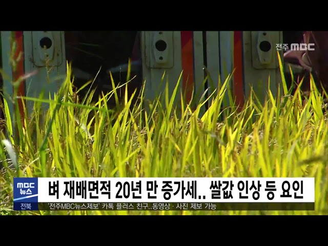 벼 재배면적 20년 만 증가세 쌀값 인상 등 요인