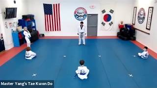 Live CLass - Blue Belt - 5.28.20 @ 6pm