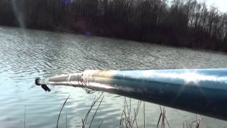 preview picture of video 'Pescuit oblete si babusca la barajul Bascov 8-03-2015 partea2-a'