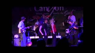 Parker&#39;s Band, Pretzel Logic - A Steely Dan Revue @ the Canyon Club