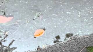 nick nicely London South 2, Grasscut Mix (official)