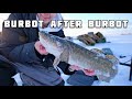 Video Thumbnail for Best burbot fishing of my life