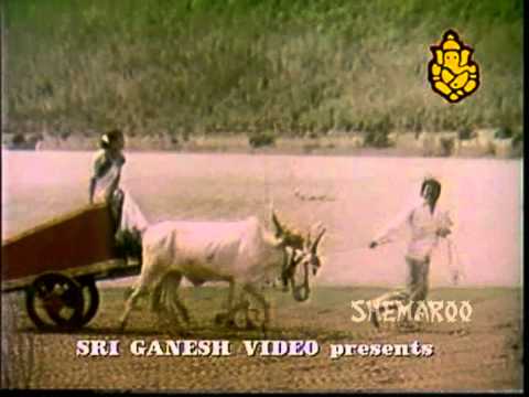 Neene Sakida Gini - Manasa Sarovar Movie -  Kannada Best Event Songs
