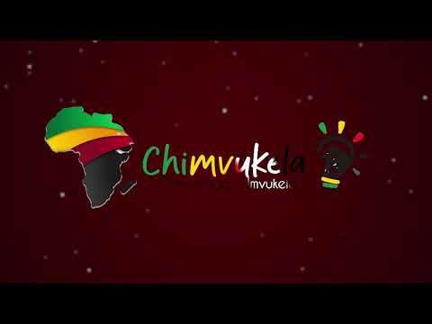 What Caused the ZAPU/ZANU Split? Cde Larry Dube Explains