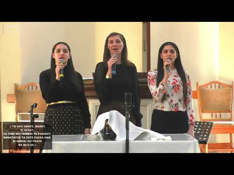 Surorile Bumbar şi Mia Suciu - Tot ce am aici, pe-acest pământ