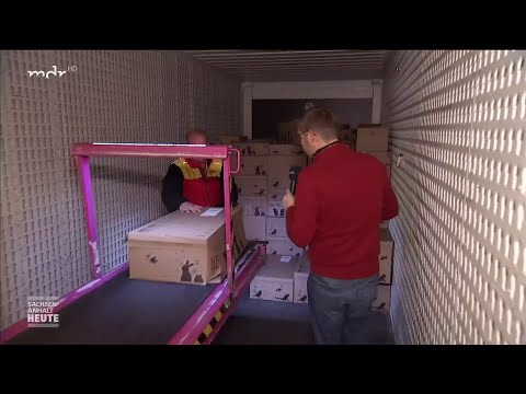 Die fleißigen Wichtel vom Paketzentrum