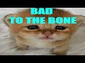 Bad To The Bone Slowed And Reverb
