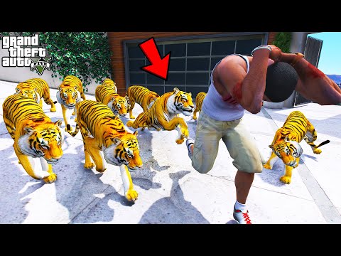 Franklin Trying To Escape 20 Hungry Tigers in GTA 5 | SHINCHAN and CHOP