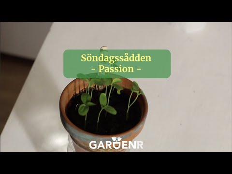 , title : 'Söndagssådden - Passion - Trädgårdshacks med GardenR'