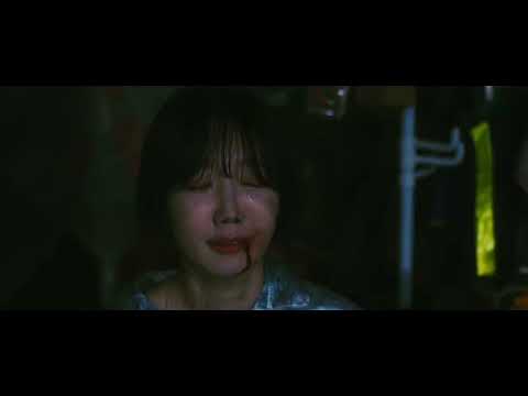 비디오 9