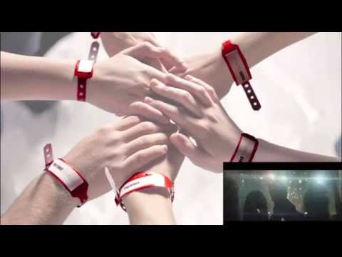 Andreu Rifé : Fil de Llum/Lletra