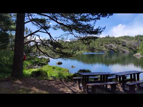 Norway. Hellvik-Egersund. Walk. 10.07.2022