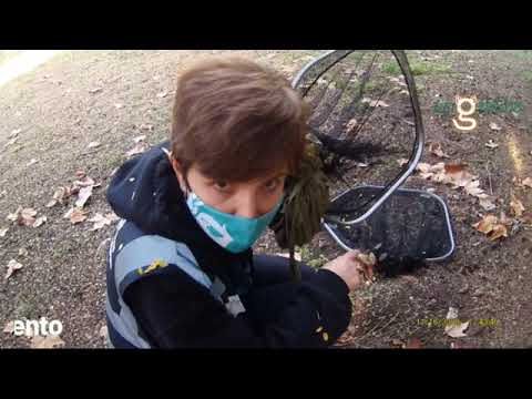 La captura que se convirtió en rescate