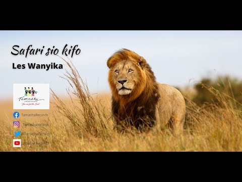Safari sio kifo by Les Wanyika,