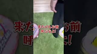 やばいガチ恋ファンが家にきたｗｗｗｗｗｗ