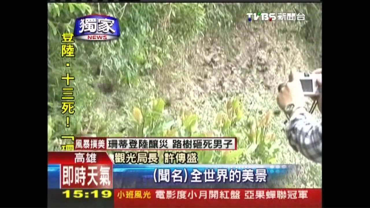 〈獨家〉399元遊高雄 「暖陽觀光」11月起跑