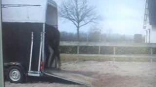 Twister loves the trailer