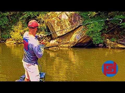 Summer River Fishing: EDDIES and CURRENT SEAMS for consistent fish catches!