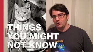 A Zeppelin, A Cat, and The World's First In-Flight Radio Message