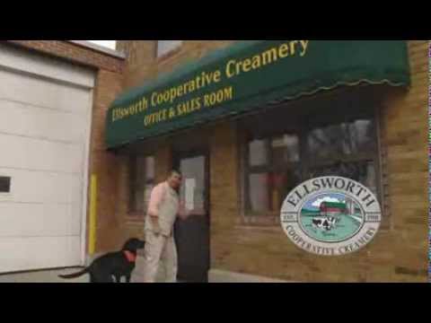 download lagu mp3 mp4 Ellsworth Cheese Curd Flavors, download lagu Ellsworth Cheese Curd Flavors gratis, unduh video klip Ellsworth Cheese Curd Flavors