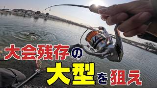 【エリアトラウト】大会後に大型ニジマスが数多く残存していると聞いたので行ってきた・・・【アルクスポンド宇都宮】