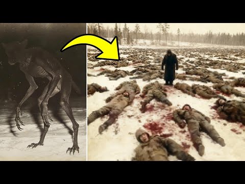 The Soviet Division That Was Massacred by Something Unknown in Finland During 1939