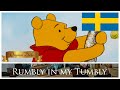 The Many Adventures Of Winnie The Pooh 1977 Rumbly In My Tumbly Swedish Svenska 1967 Dub