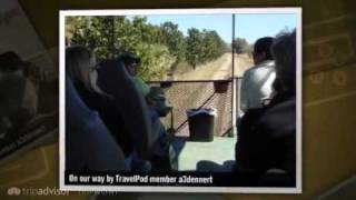 preview picture of video 'Ziplining in Central Florida A3dennert's photos around Saint Cloud, United States (travel pics)'