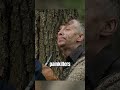 This man’s body is half in a tree #shorts #viral