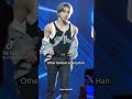 Han Jisung Is Our Baby Girl Quokka Straykids