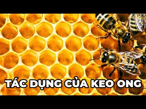 , title : 'Keo ong là gì? Tác dụng của keo ong không phải ai cũng biết - Kênh Hướng Dẫn'