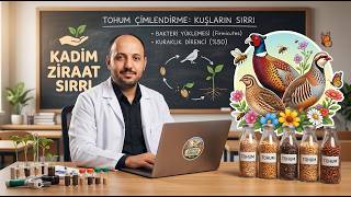Kuraklıkta Bile %50 Fazla Verim: Kuşların Tohuma Yüklediği Gizli Bakteriler