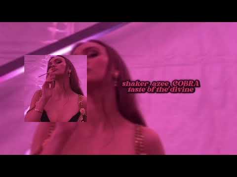 shaker, azee, COBRA - taste of the divine türkçe çeviri